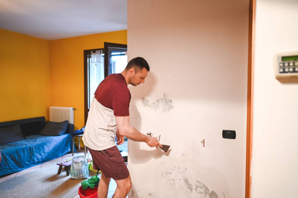 Best DIY Mold Remediation Support Services in Willcox, AZ